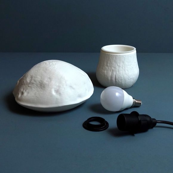 Gazzaladra Edulisfungus Organic Table Lamp, Bedroom Lighting - Picture 5 of 10